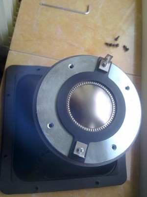 rsz_29112010006.jpg
