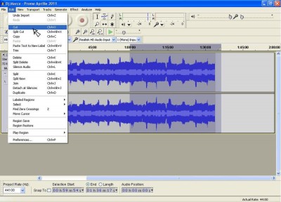 05 Open Audacity  Taiere mix la 60 minute cut.JPG