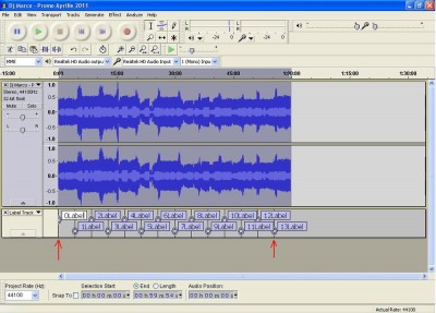10 Open Audacity  generare label.JPG