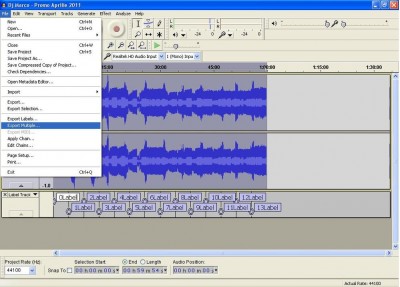 10.1 Open Audacity  export multiple.JPG