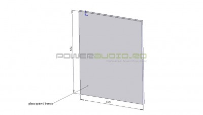 placa spate.jpg
