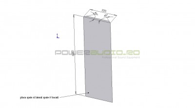 placa spate si lateral spate.jpg