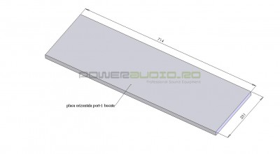 placa orizontala port.jpg