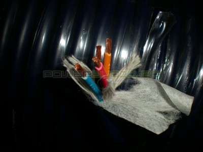 DSCN9156.jpg
