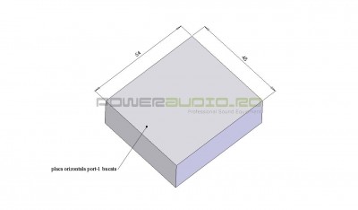 placa orizontala port.jpg